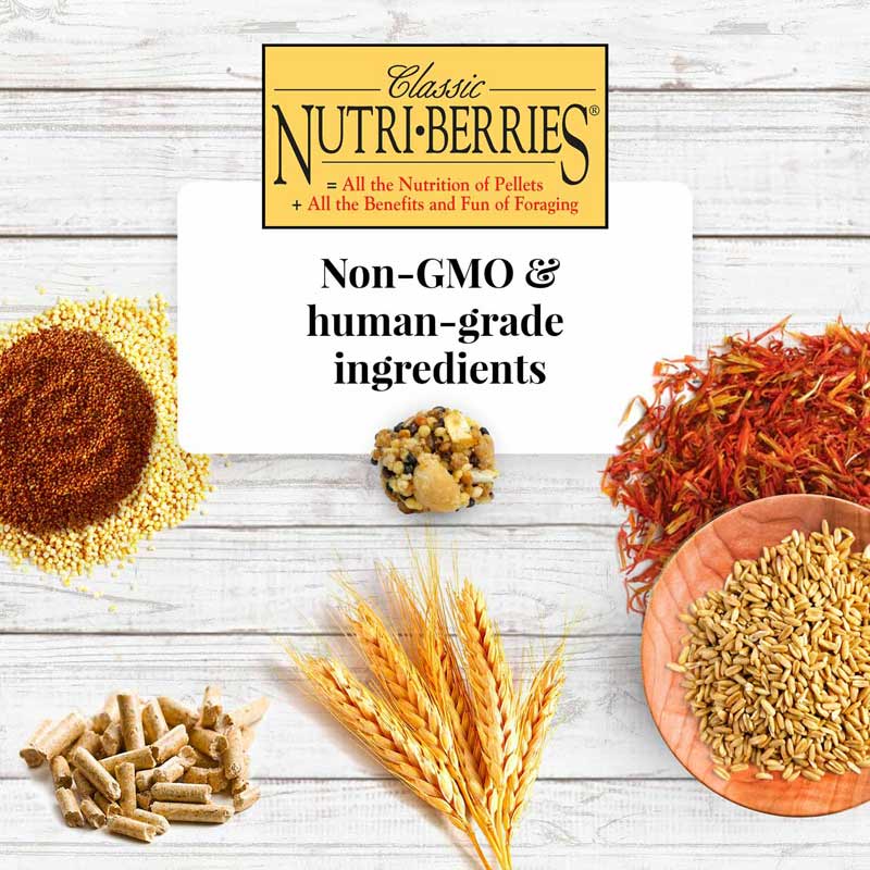 Parrot Nutri-Berries 3.25 lb (1.47 kg)