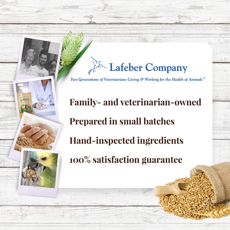 Parrot Nutri-Berries 3.25 lb (1.47 kg)