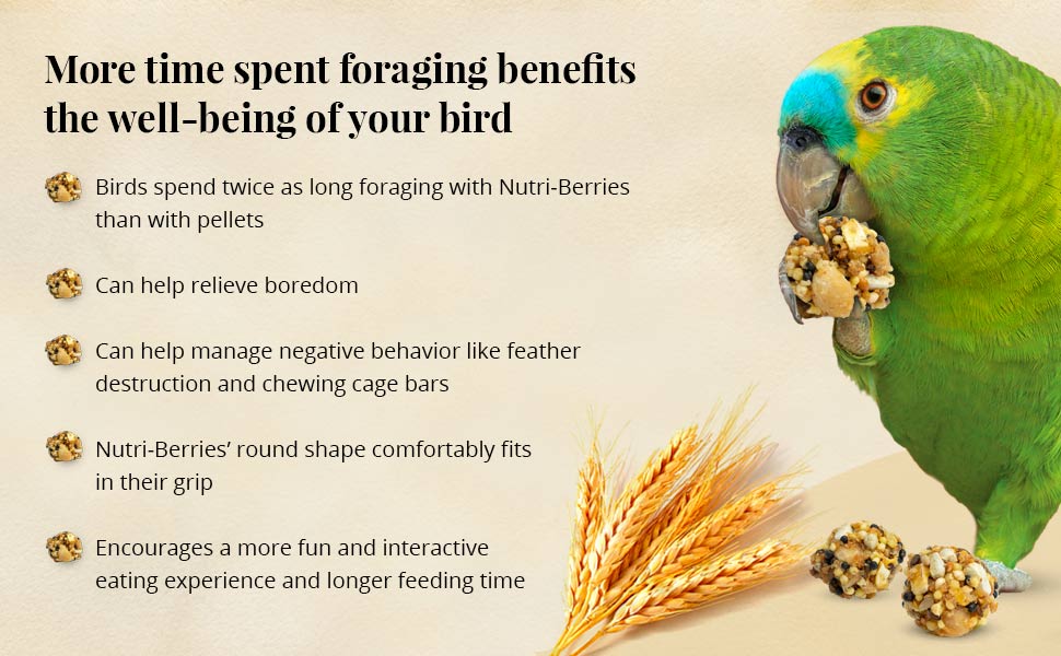 Parrot Nutri-Berries 3.25 lb (1.47 kg)