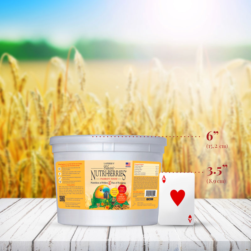 Parrot Nutri-Berries 3.25 lb (1.47 kg)