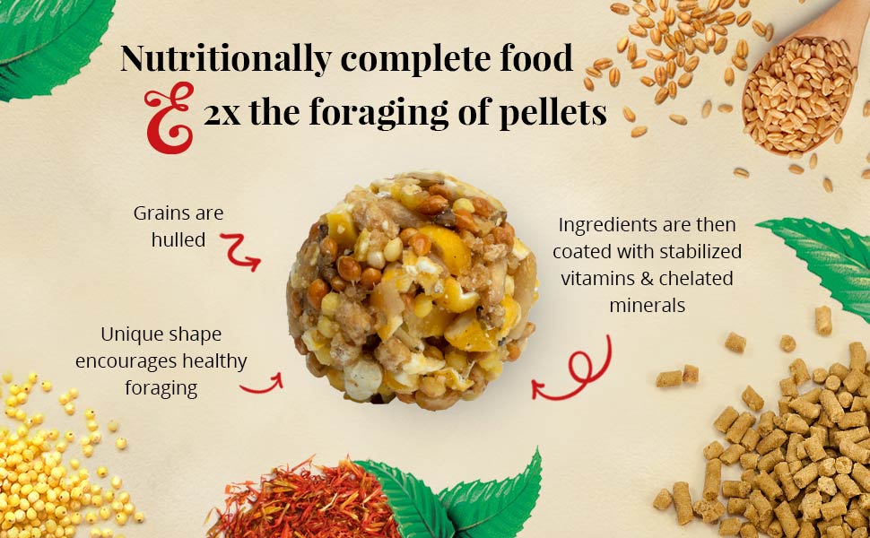 Macaw Classic Nutri-Berries 3.5 lb (1.59 kg)