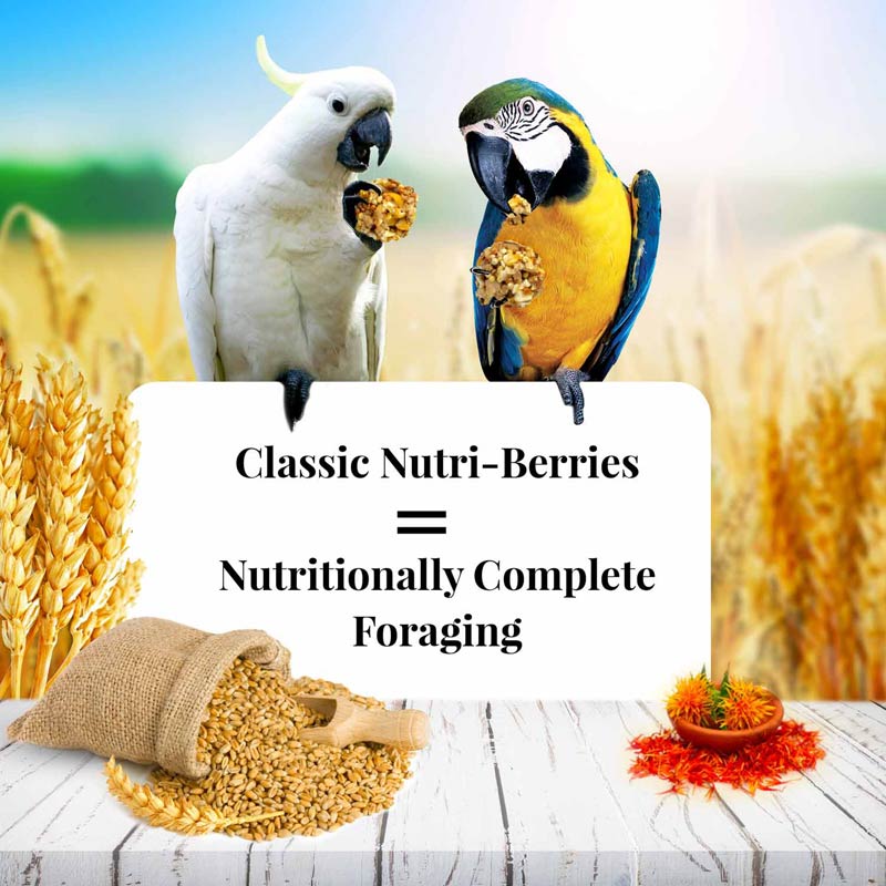 Macaw Classic Nutri-Berries 3.5 lb (1.59 kg)