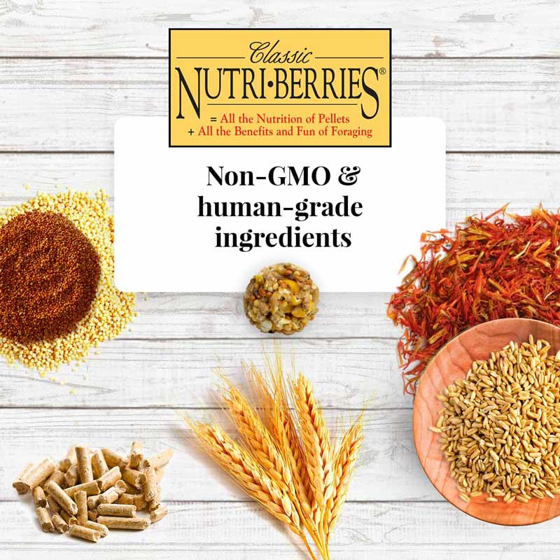 Macaw Classic Nutri-Berries 3.5 lb (1.59 kg)