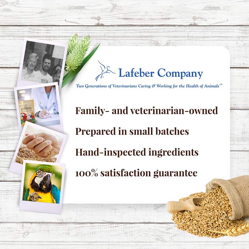 Macaw Classic Nutri-Berries 3.5 lb (1.59 kg)