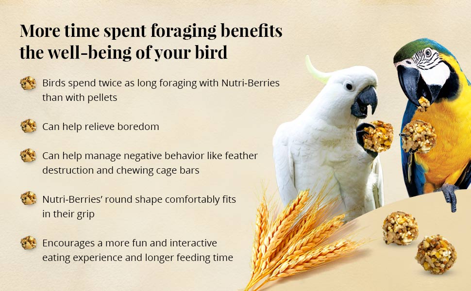 Macaw Classic Nutri-Berries 3.5 lb (1.59 kg)