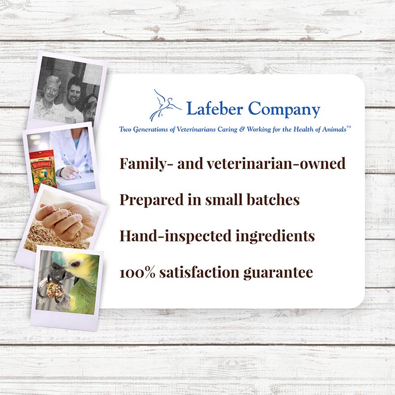 El Paso Nutri-Berries for Parrots 10 oz