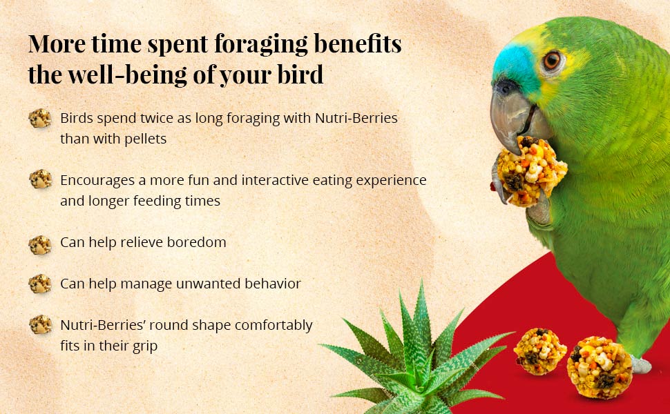 El Paso Nutri-Berries for Parrots 10 oz