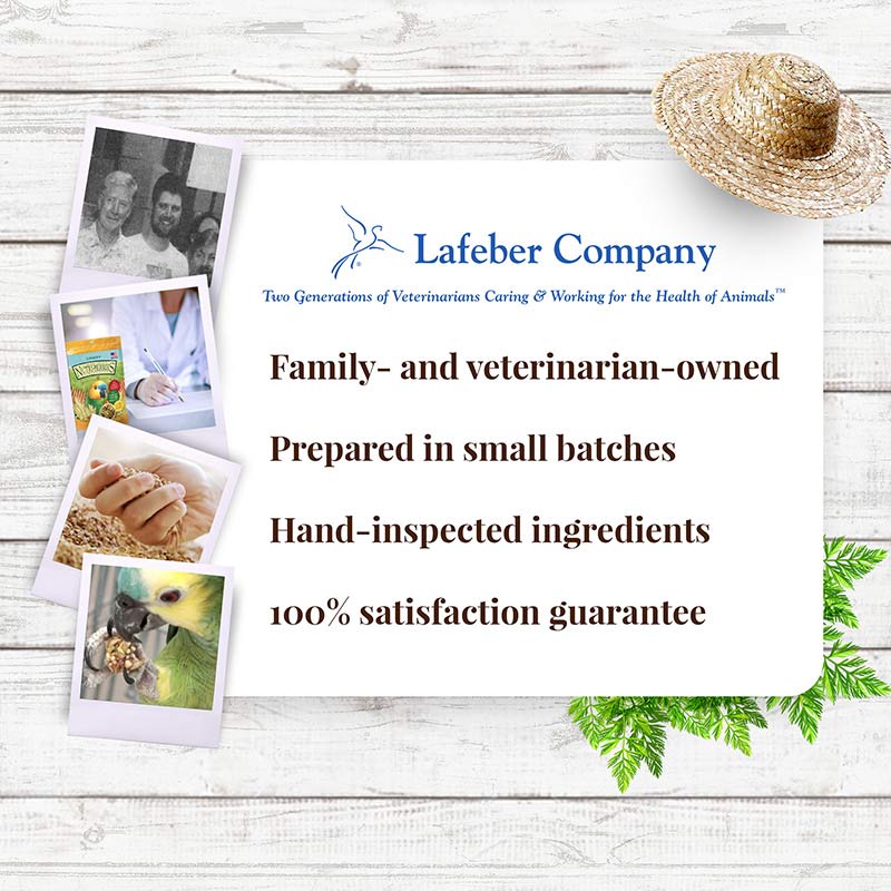 Garden Veggie Nutri-Berries for Parrots 3 lb (1.36 kg)