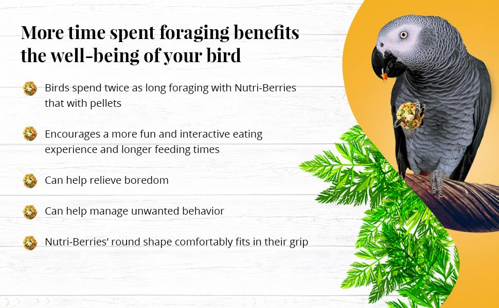 Garden Veggie Nutri-Berries for Parrots 10 oz (284 g)