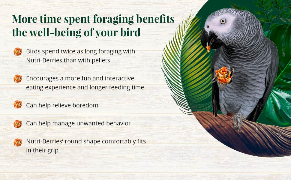 Tropical Fruit Nutri-Berries for Parrots 10 oz (284 g)