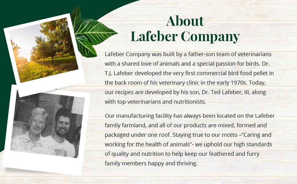 Tropical Fruit Nutri-Berries for Parrots 10 oz (284 g)