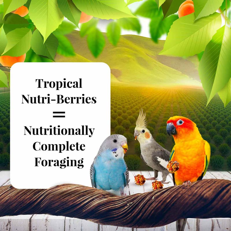 Sunny Orchard Nutri-Berries for Cockatiels 10 oz (284 g)