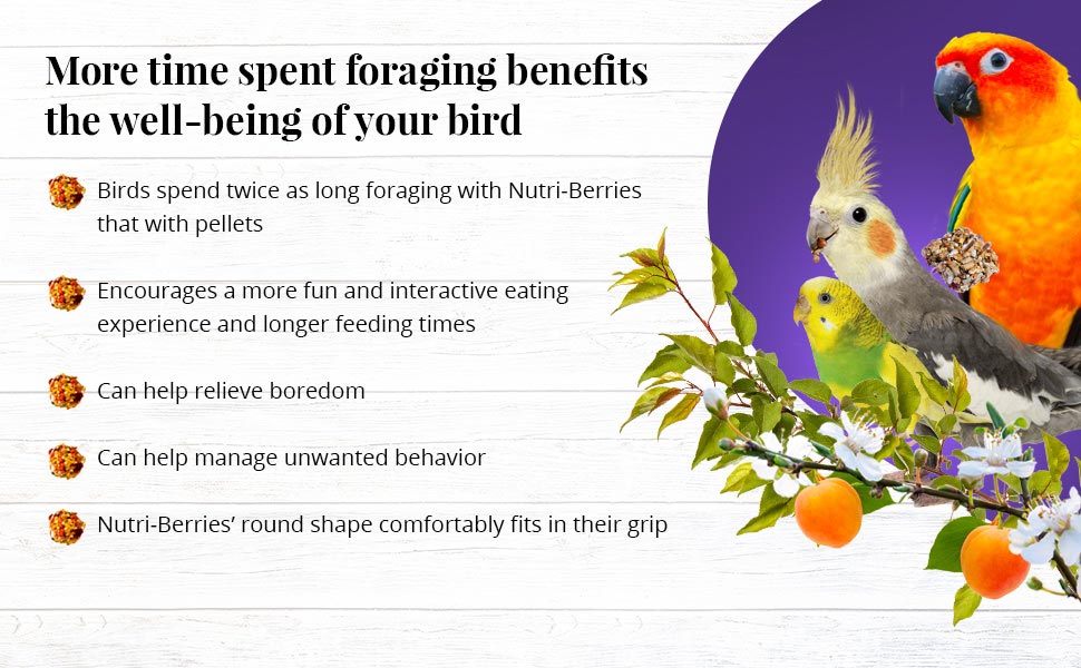 Sunny Orchard Nutri-Berries for Cockatiels 10 oz (284 g)