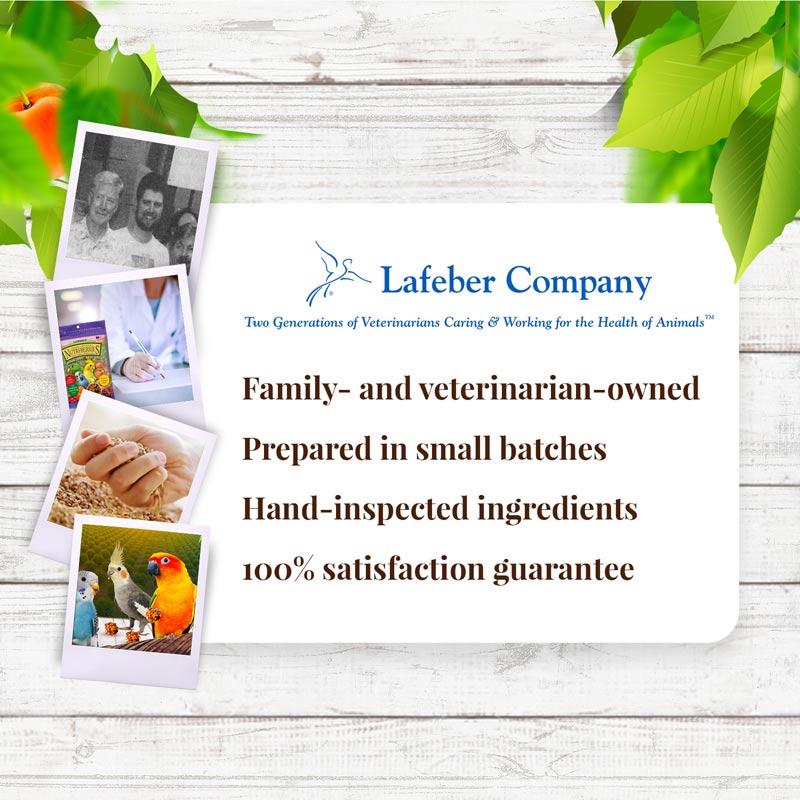 Sunny Orchard Nutri-Berries for Cockatiels 10 oz (284 g)