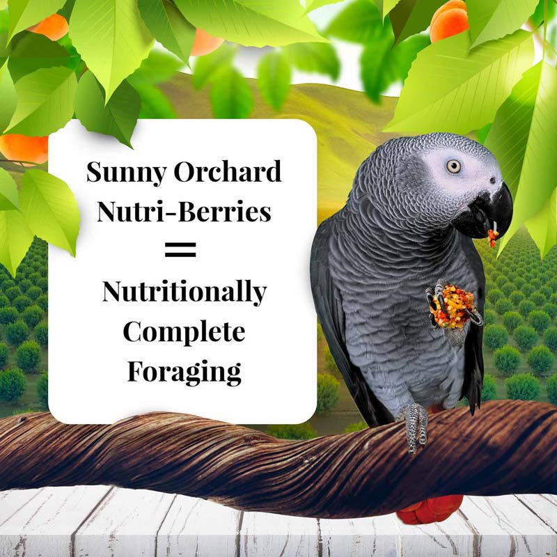 Sunny Orchard Nutri-Berries for Parrots 3 lb (1.36 kg)