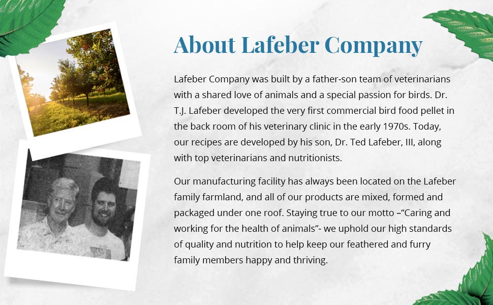 Classic Avi-Cakes for Small Birds 8 oz