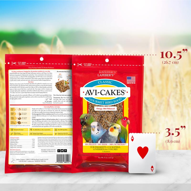 Classic Avi-Cakes for Small Birds 8 oz