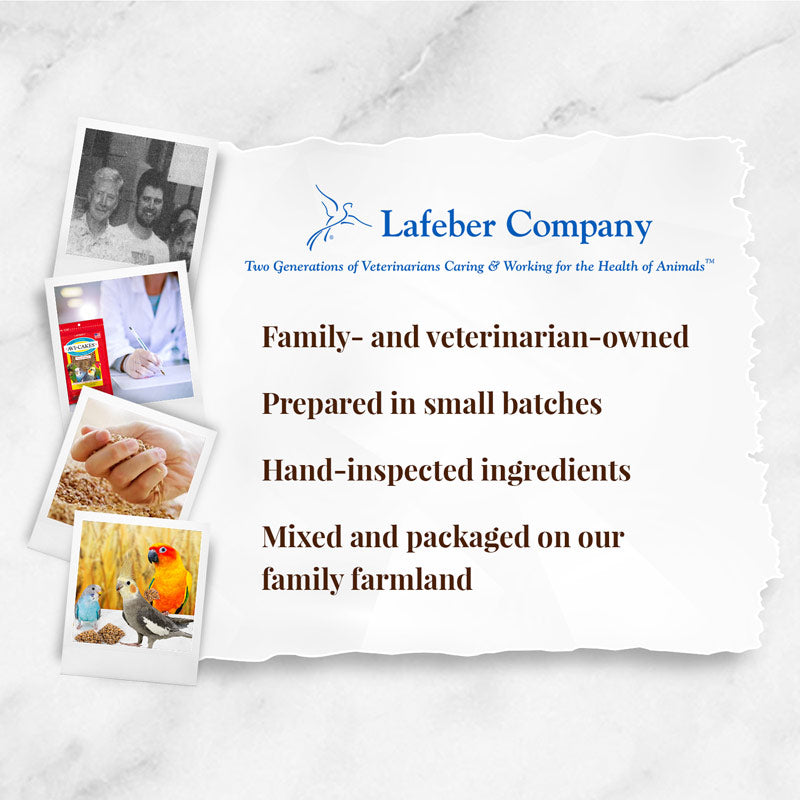 Classic Avi-Cakes for Small Birds 8 oz