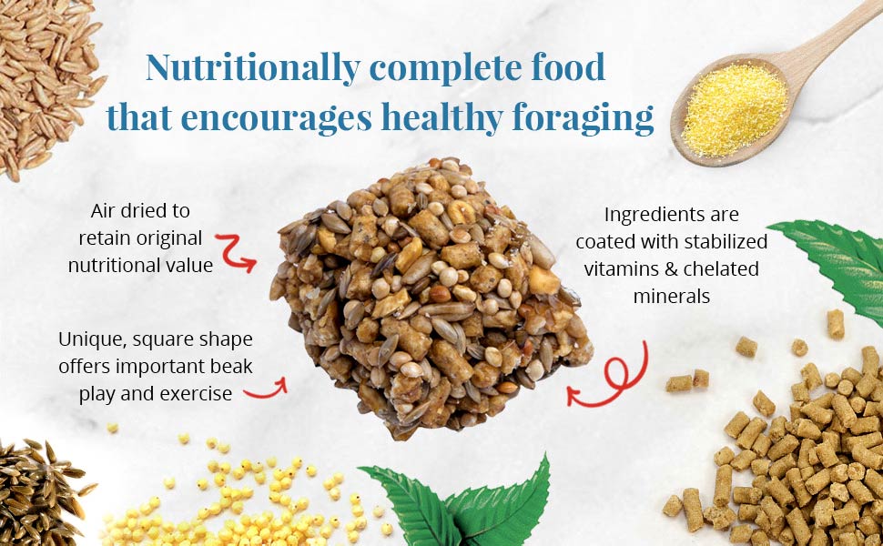 Classic Avi-Cakes for Parrot 12 oz