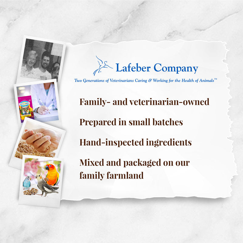 Fruit Delight Avi-Cakes for Small Birds 8 oz (227 g)