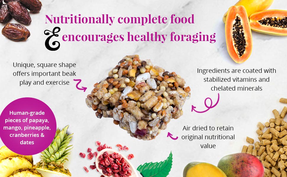 Fruit Delight Avi-Cakes for Small Birds 8 oz (227 g)