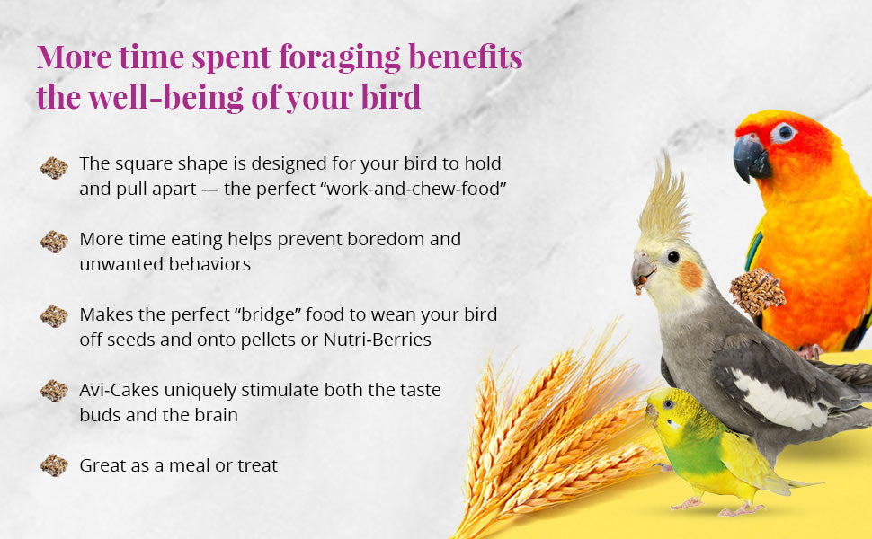 Fruit Delight Avi-Cakes for Small Birds 8 oz (227 g)