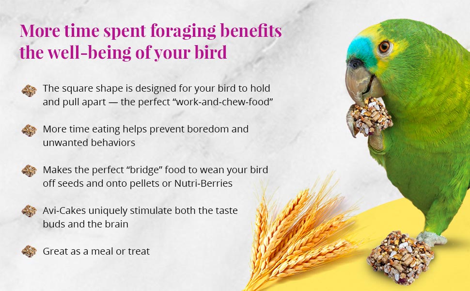 Fruit Delight Avi-Cakes for Parrots 8 oz (227 g)