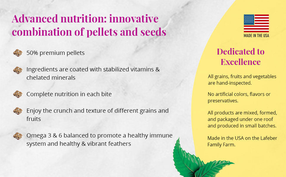 Fruit Delight Avi-Cakes for Parrots 8 oz (227 g)