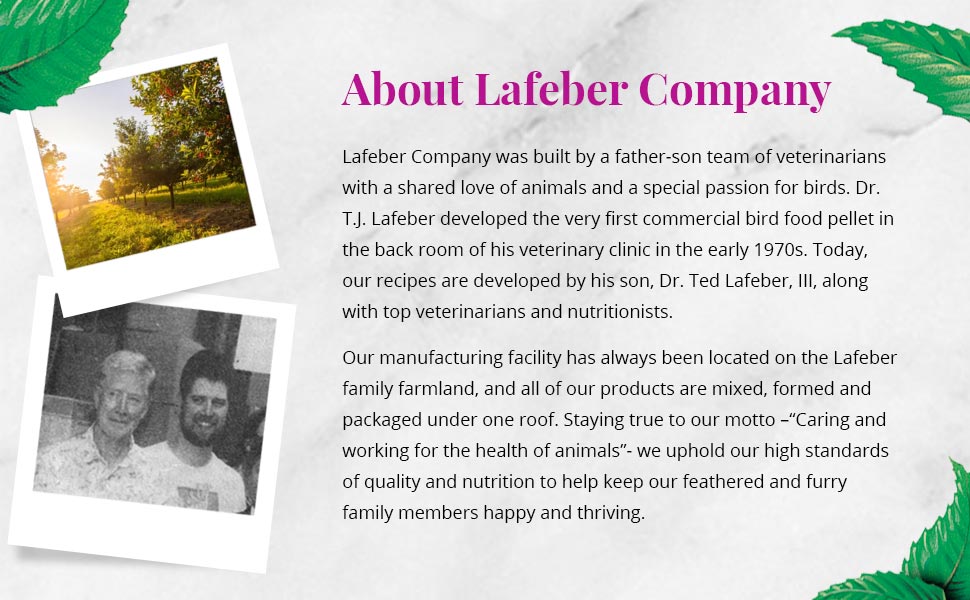 Fruit Delight Avi-Cakes for Parrots 8 oz (227 g)