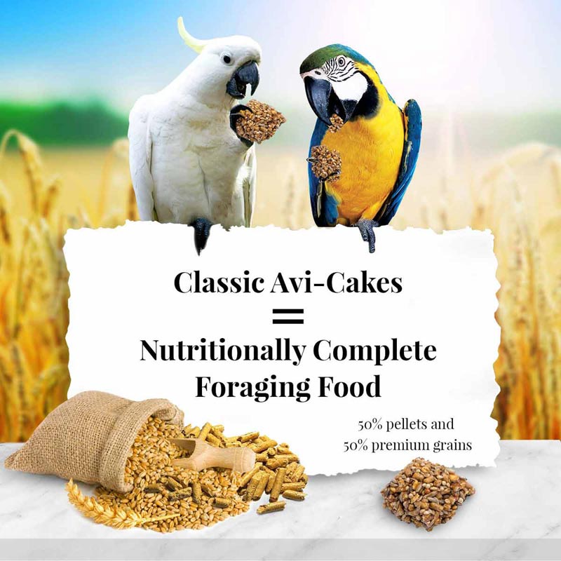 Classic Avi-Cakes for Macaw 16 oz