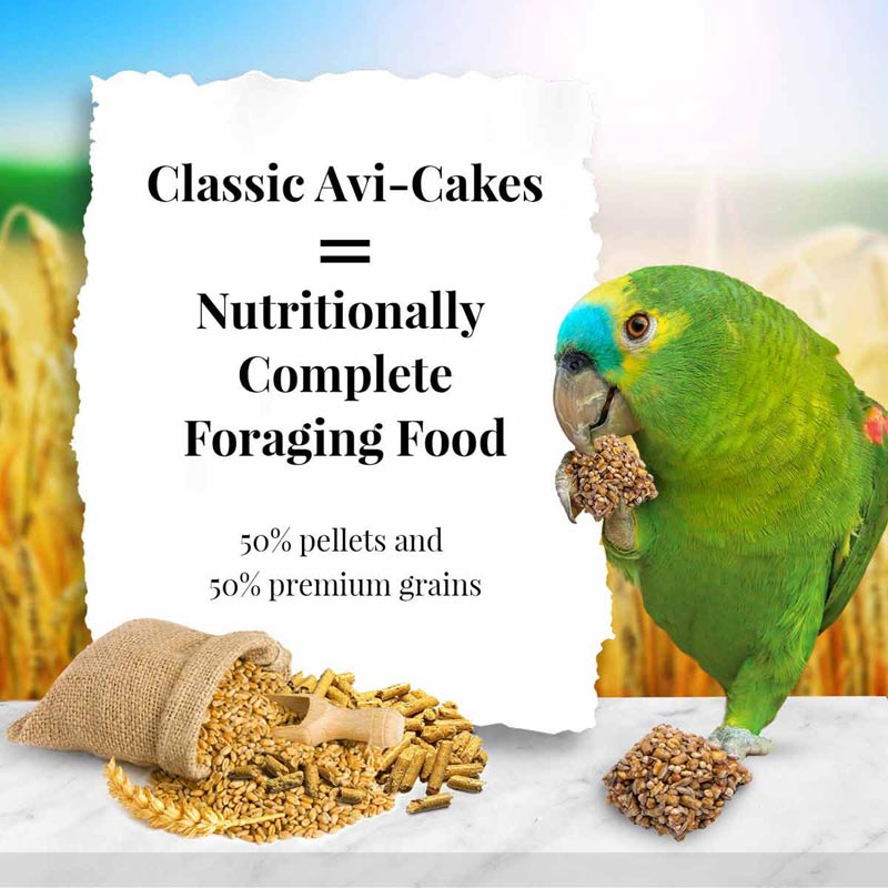 Classic Avi-Cakes for Parrot 12 oz