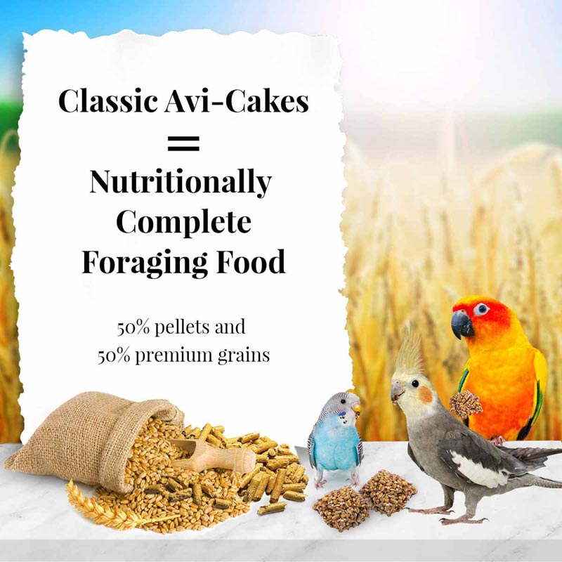 Classic Avi-Cakes for Small Birds 8 oz