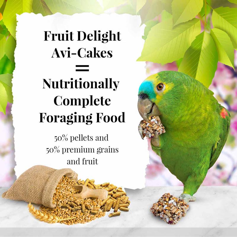 Fruit Delight Avi-Cakes for Parrots 8 oz (227 g)