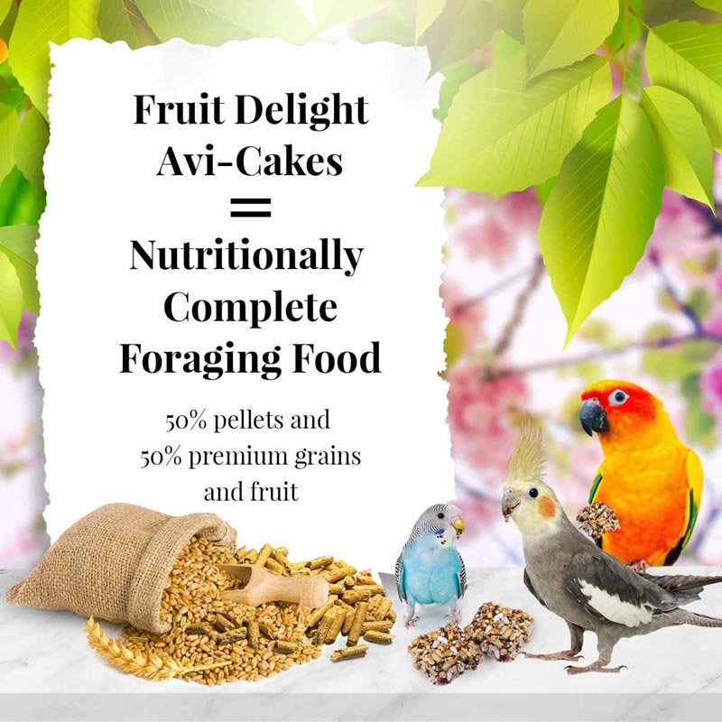 Fruit Delight Avi-Cakes for Small Birds 8 oz (227 g)