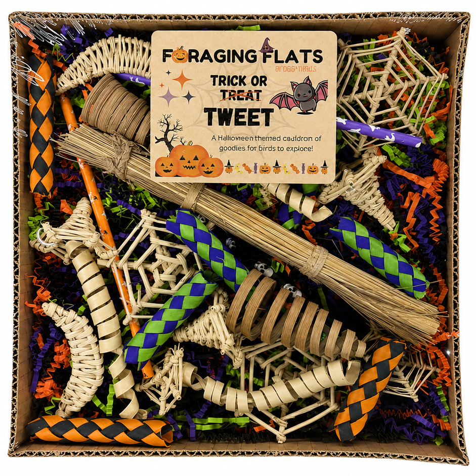 Halloween Edition Foraging Flat - Trick or TWEET