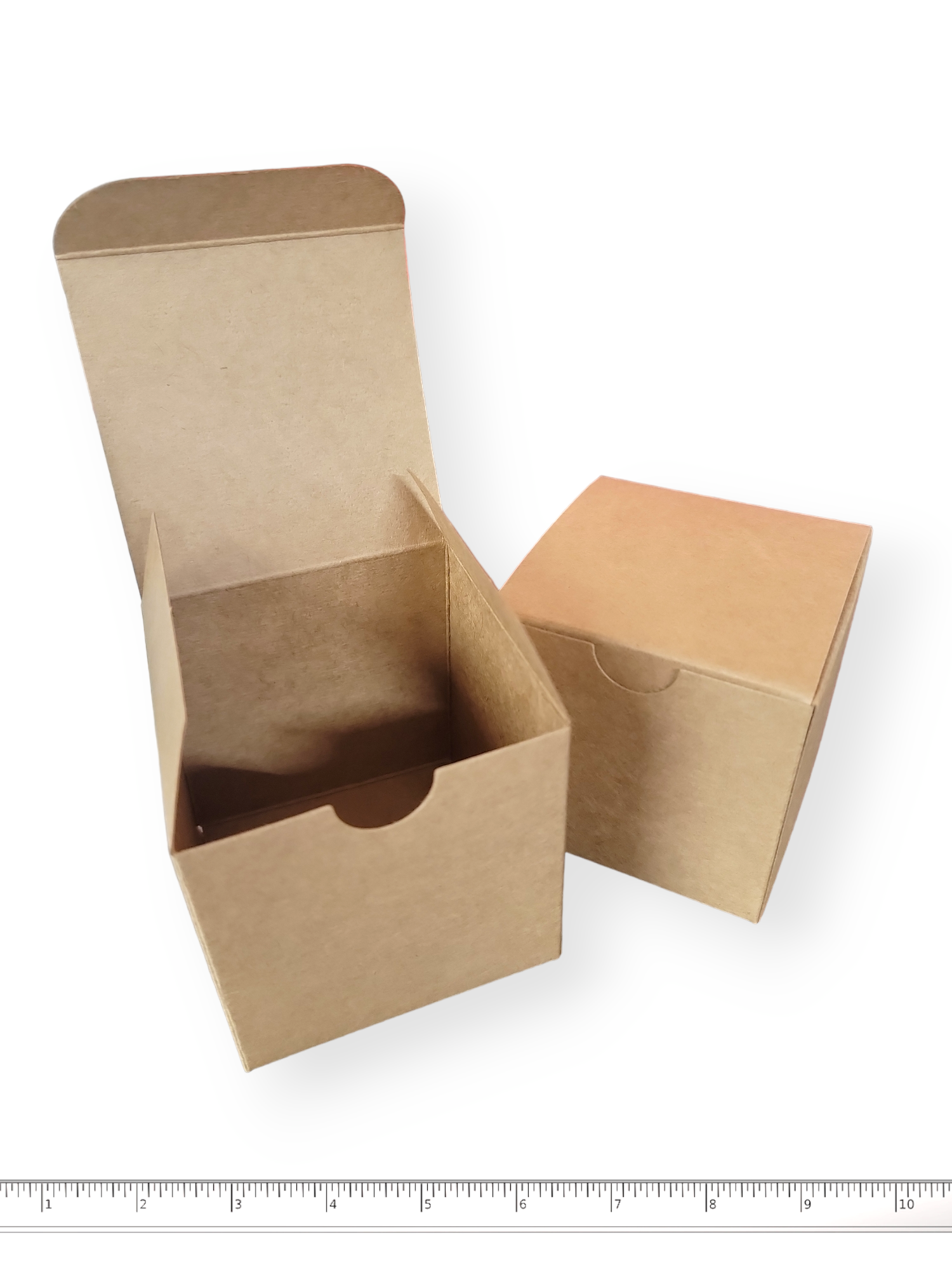 3" Cube Foraging Boxes - 5 Pack