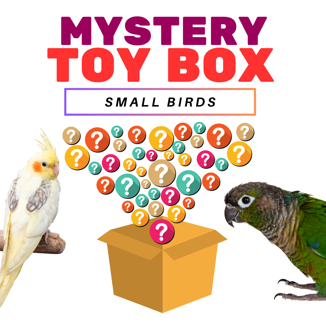 Talon Teaser Mystery Box for Small Birds