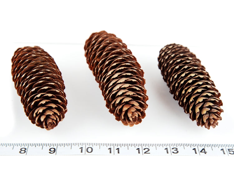 Fancy Pine Cones