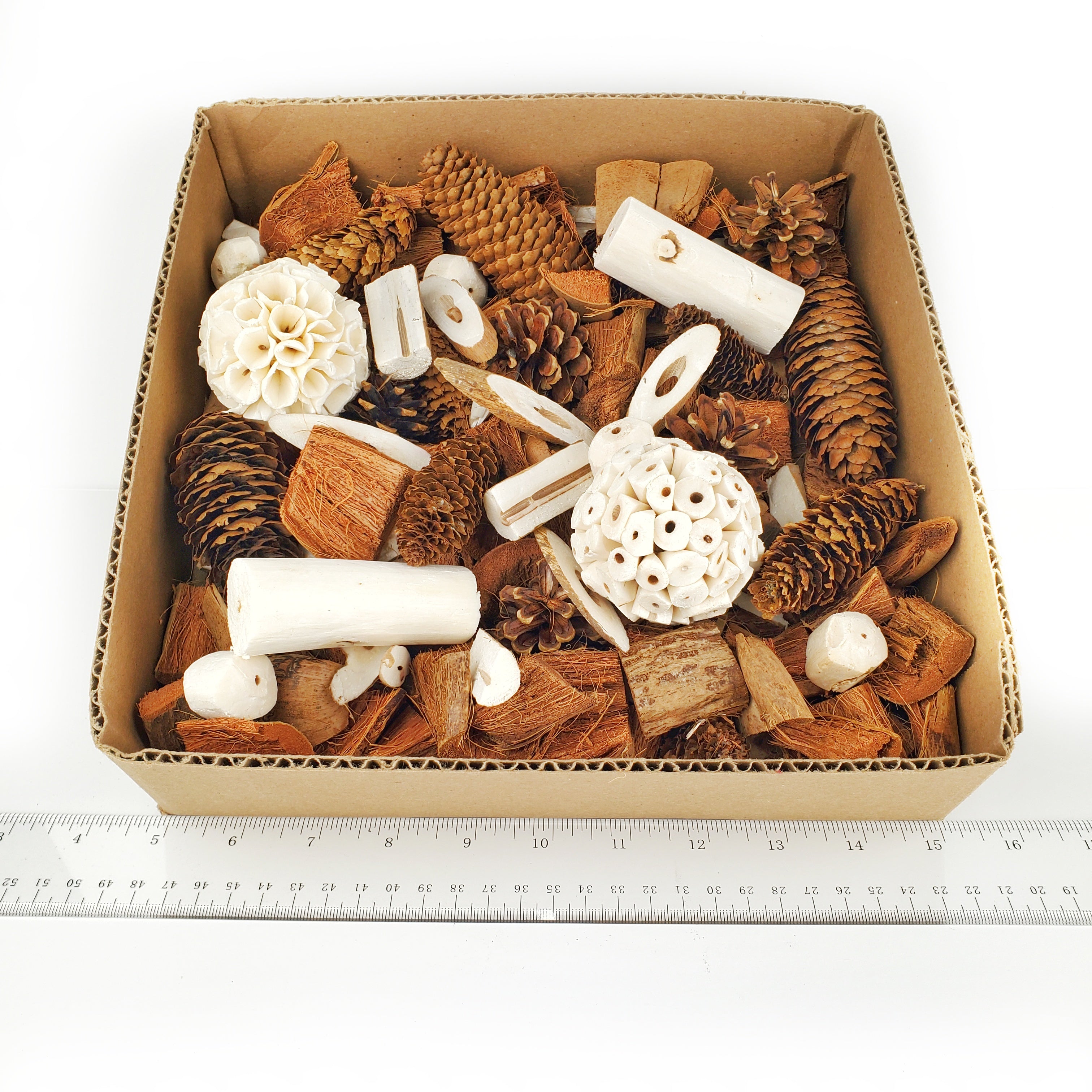 Foraging Flat Bird Toy (BYOT) – Interactive Treat Hide & Shredding Tra