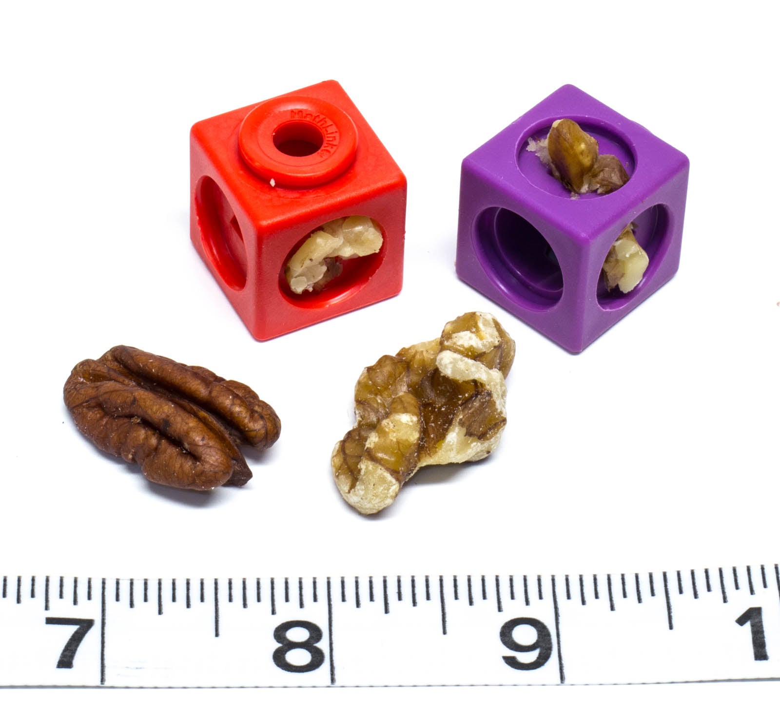 Nut Stuffer Foraging Cubes - 10 Pack