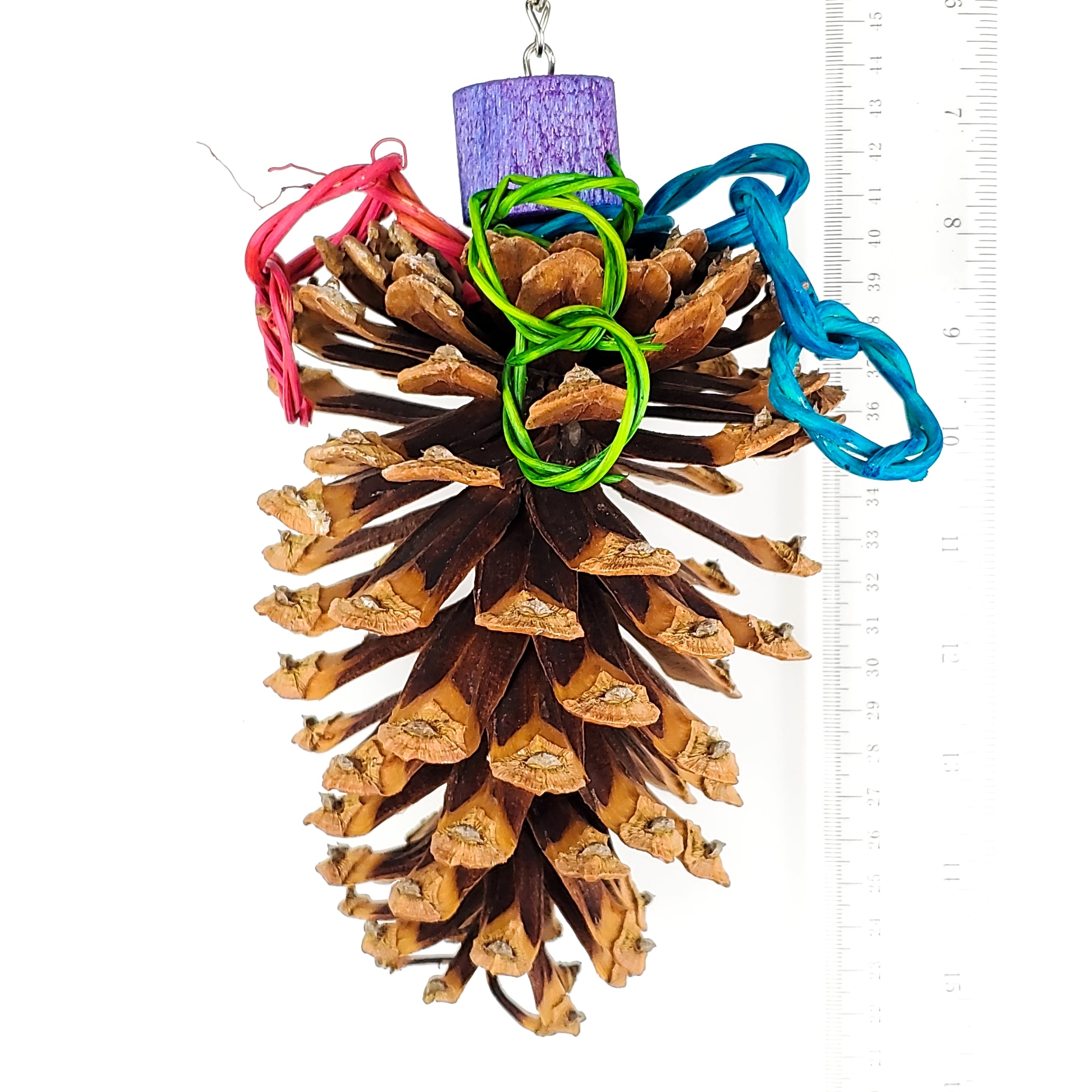 Jumbo Pine Cone Preener by Cheep Thrills Bird Toys